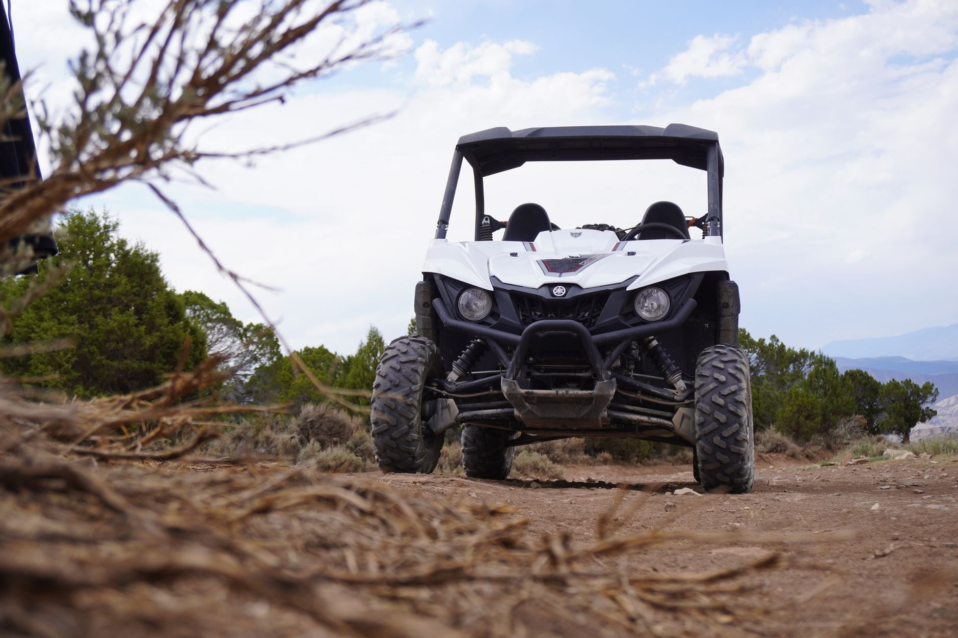 Automotive/UTV Tires - On Road