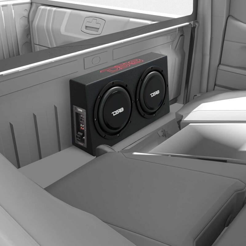DS18 PU210A dual 10-inch shallow amplified subwoofer enclosure with black carpet finish and sealed design.