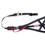 RaceQuip Black SFI 37.1 Side Roll Cage Net