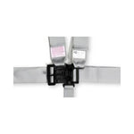 RaceQuip Platinum L & L 5pt Seat Belt