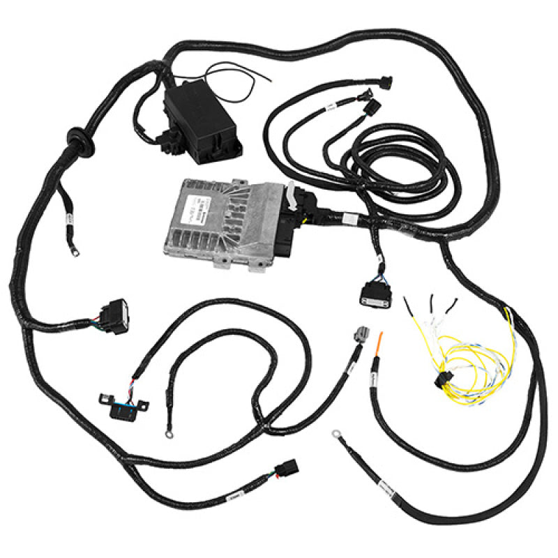 Image alt