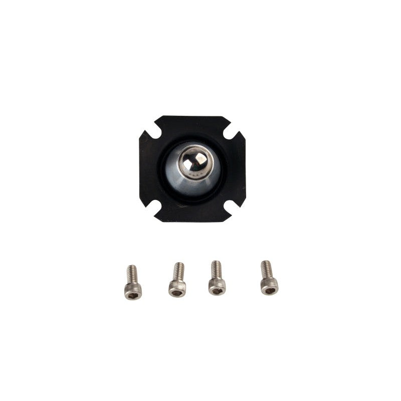 Aeromotive 13009 fuel pressure regulator diaphragm and internal repair kit components.