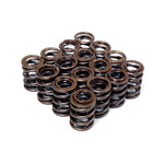 Set of BLOX Racing performance valve springs for B18A-B and B20 1.8L and 2.0L DOHC engines.