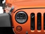 Photo - Close Up