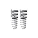 Eibach Pro-Lift-Kit silver powder-coated rear lift springs for 2014-2024 Ram 2500