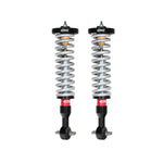 Eibach Pro-Truck 2.0 front coilovers with silver ERO springs and black anodized billet aluminum mounts for Ford F-150.