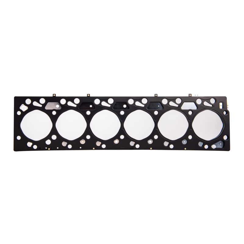 Fleece Performance 1.25mm multi-layer steel OE replacement head gasket for 2003-2007 5.9L Cummins engines.