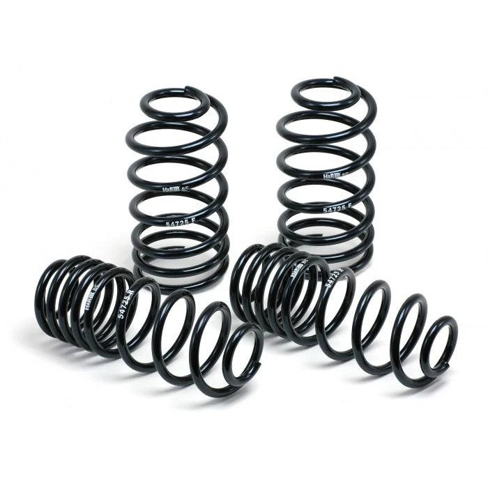 H&R Sport Spring suspension set for 2004-2010 BMW 545i and 550i (E60) chassis.