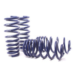 H&R Sport Spring set for 2007-2014 BMW X5 and X6 suspension lowering.
