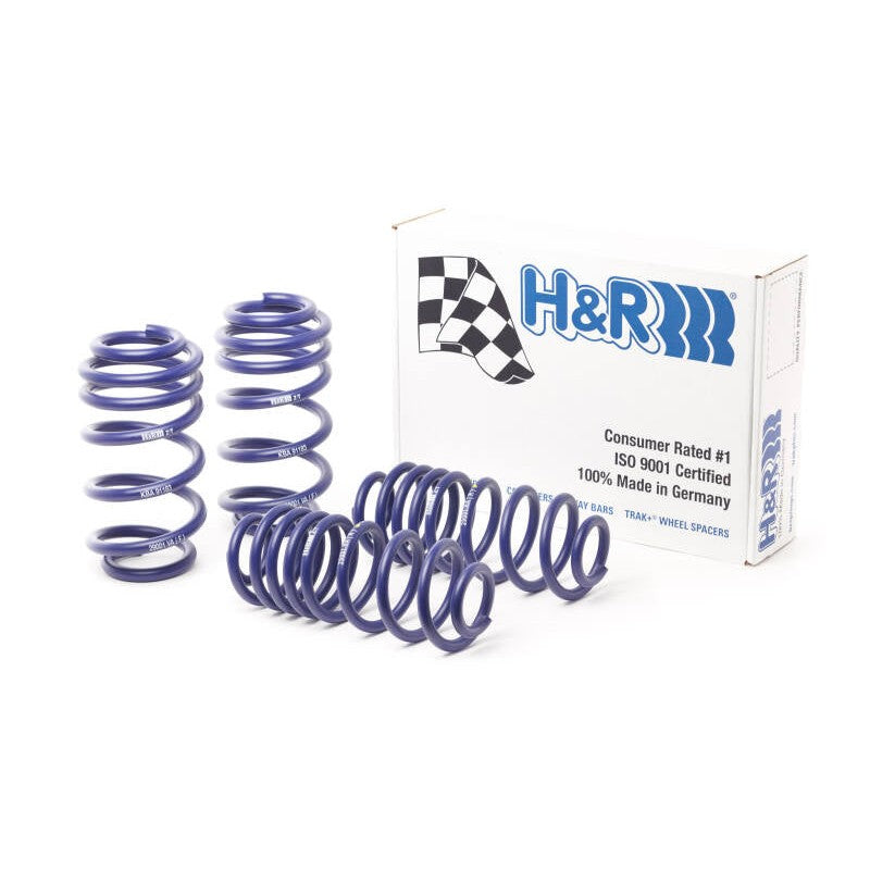 H&R Sport Spring lowering kit for 2014-2017 Audi SQ5 models.