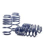 Set of blue H&R Race Springs for 2012-2019 Volkswagen Jetta GLI, S, SE, and TDI models.
