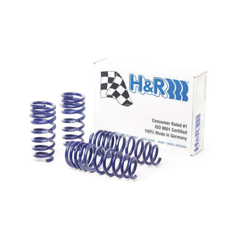 H&R Sport Springs for 2016-2019 Mercedes-Benz AMG GT S with progressive rate coils and 54SiCr6 steel construction.