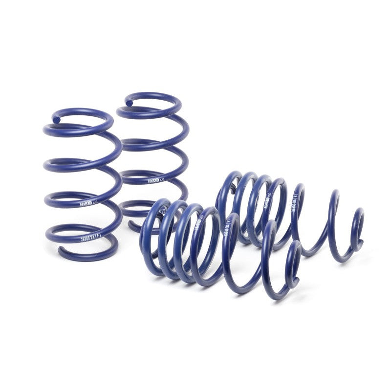 Set of blue H&R Sport Springs for Mercedes-Benz Metris W447 chassis