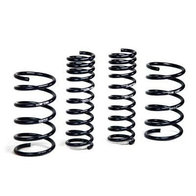 H&R Sport Springs progressive rate suspension kit for 1978-1983 BMW 320i E21 chassis.