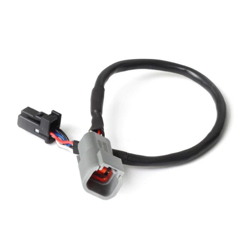 Haltech 3-inch CAN adaptor cable showing DTM-4 female receptacle and 8-pin black Tyco connector.