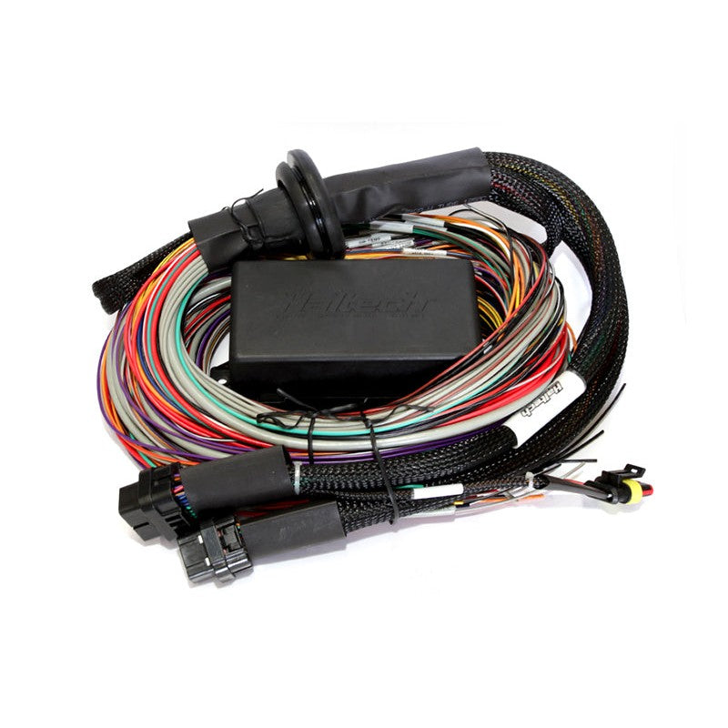 Haltech Elite 2500 premium universal wiring harness with integrated fuse box, relays, and rubber firewall grommet.