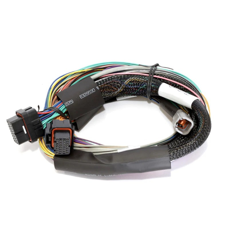 Haltech Elite 2500 basic universal wire-in harness with 2.5m color-coded flying lead wires and ECU connector.