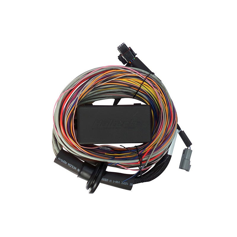Haltech Elite 750 2.5m universal wire-in harness with integrated fuse box, relays, and firewall grommet