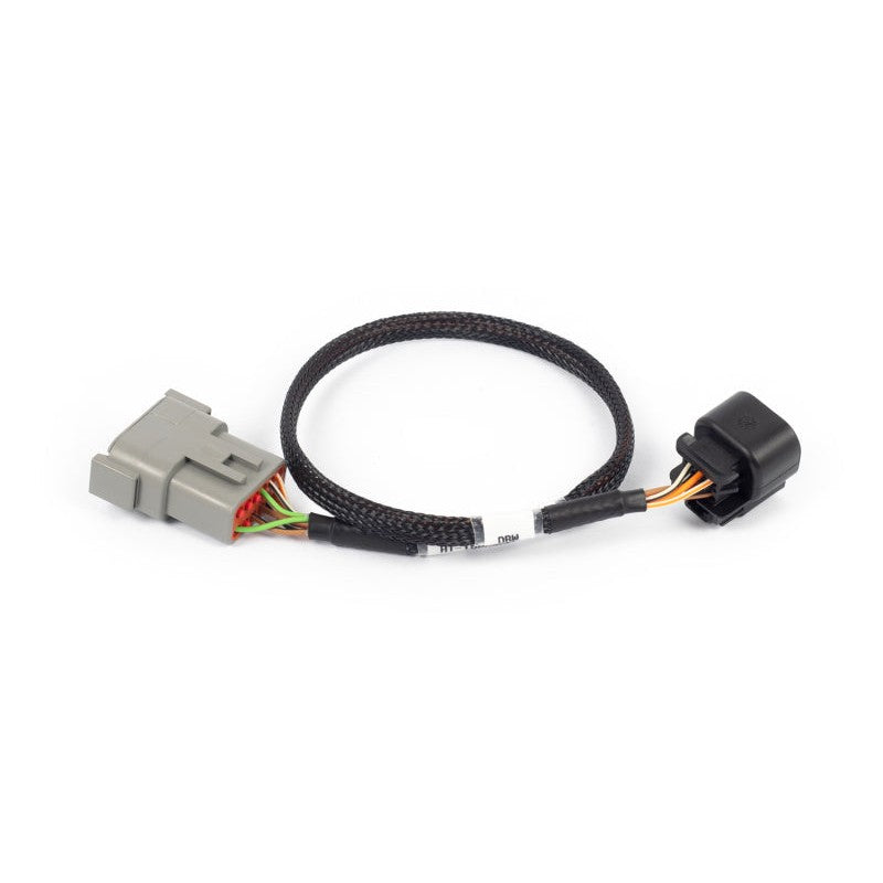 Haltech NEXUS Rebel LS 6-pin drive-by-wire wiring harness adaptor with weather-sealed connectors.