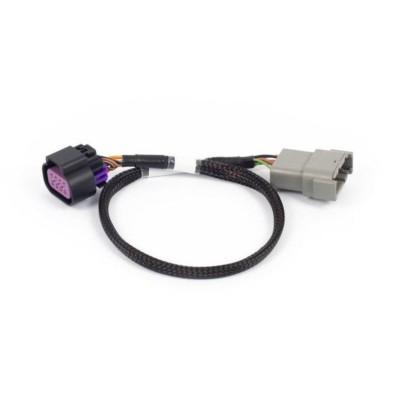 Haltech NEXUS Rebel LS 8-pin DBW wiring adaptor harness with automotive-grade connectors.
