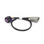 Haltech NEXUS Rebel LS 8-pin DBW wiring adaptor harness with automotive-grade connectors.