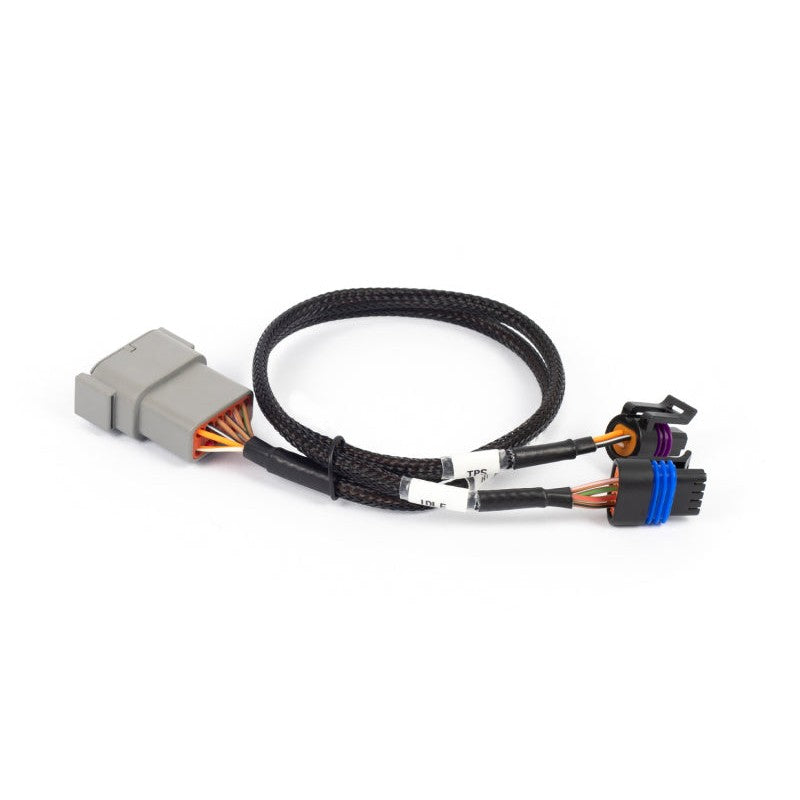 Haltech NEXUS Rebel LS cable throttle and IAC sub-harness with multi-pin plug and labeled sensor connectors.