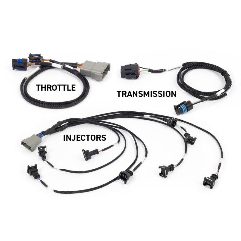 Haltech NEXUS Rebel LS VCU and wiring harness for Gen III LS cable throttle and manual transmission swaps.