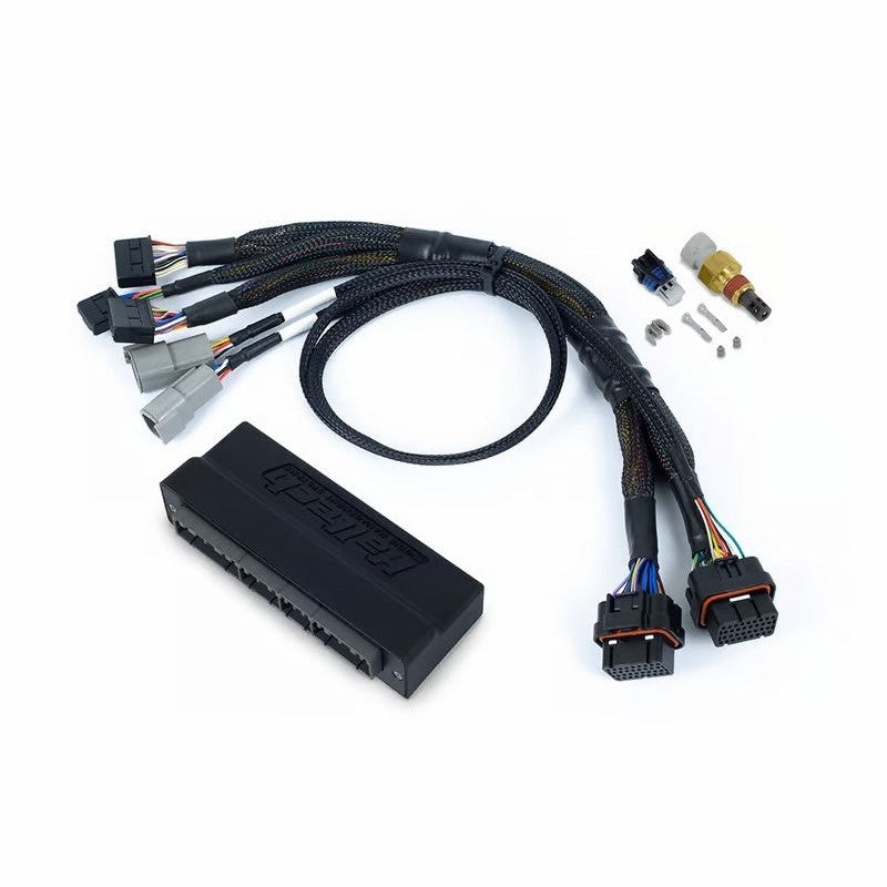 Haltech NEXUS S2/S3 plug-and-play adapter wiring harness with multi-pin automotive connectors and protective looming