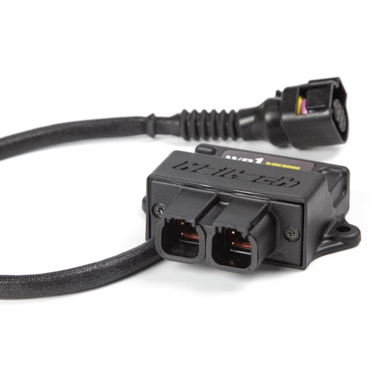 Haltech WB1 CAN wideband controller module with Bosch 4.9 LSU sensor, weld-on bung, and 1200mm wiring harness.