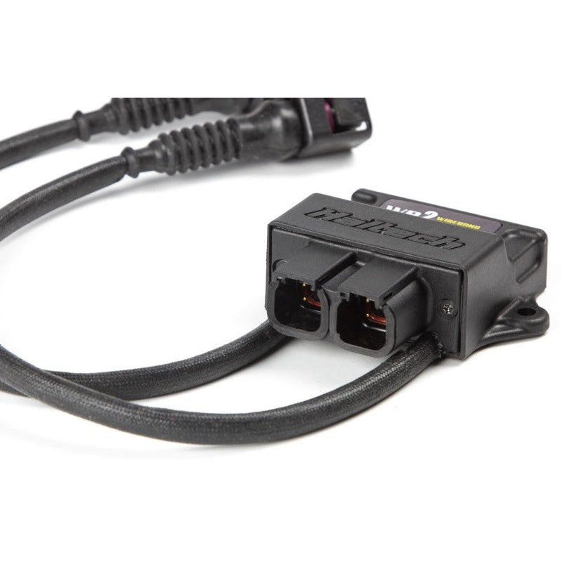 Haltech WB2 dual channel controller module with two Bosch LSU 4.9 wideband sensors, bungs, and CAN harness.