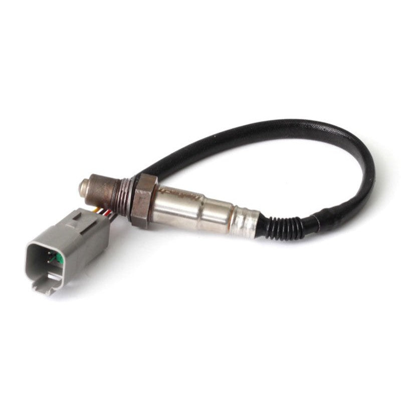 Haltech Bosch LSU 4.2 wideband oxygen sensor featuring a protective metal tip and multi-pin electrical connector.