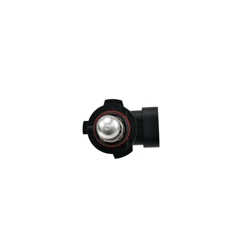 Pair of Hella H10 12V 65W Xen White halogen bulbs with glass envelopes and plastic bases.