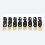 HKS performance outer valve spring set for SR20DET engines, part number 22001-AN002.