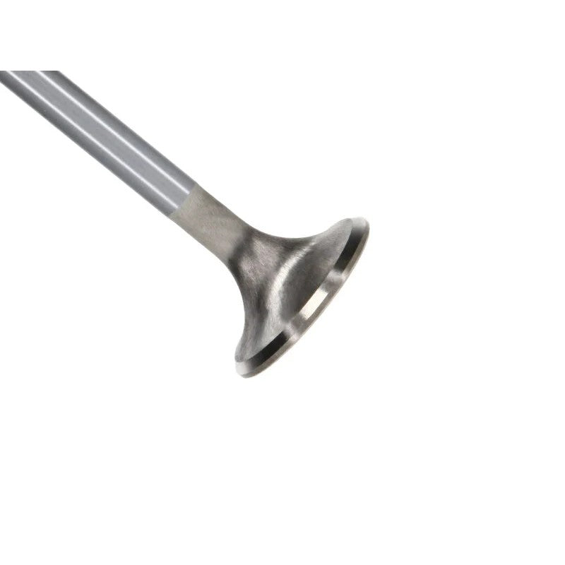 Manley Race Master Series 1.260 inch stainless steel exhaust valves with chrome stems for Ford 5.0L Coyote Gen III engines.
