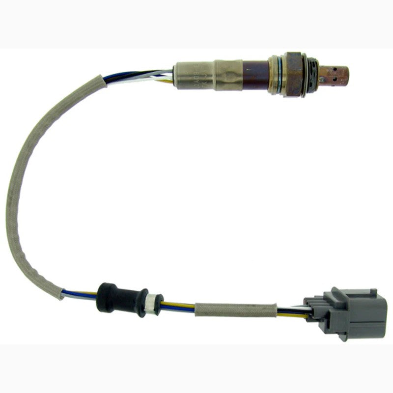 NTK 24300 5-wire wideband air-fuel ratio sensor showing ceramic element housing and vehicle-specific harness connector.