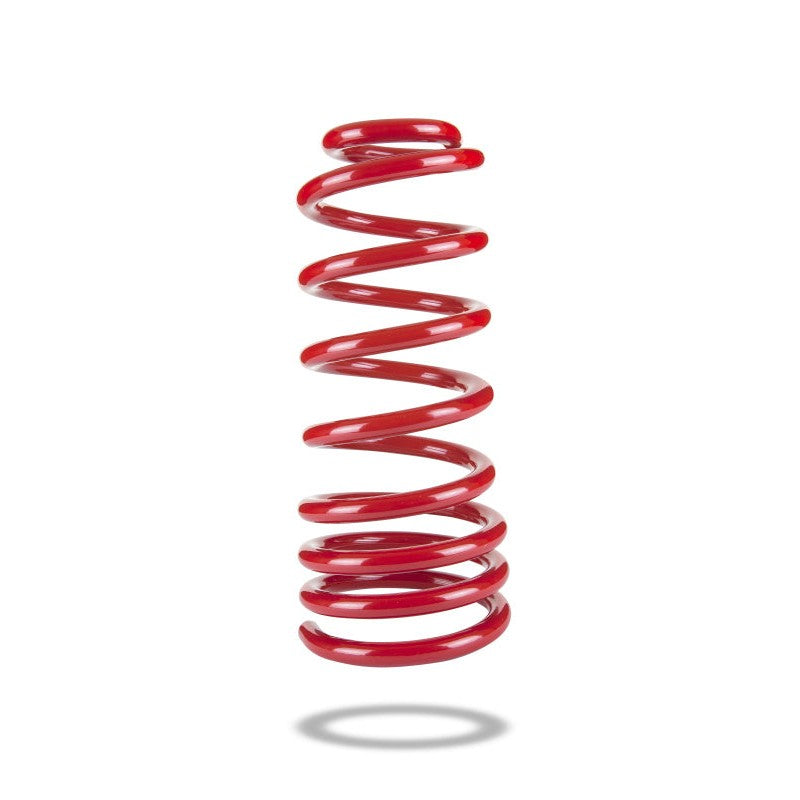 Pedders red heavy-duty rear lowering coil spring for Pontiac G8 and Chevrolet SS suspension