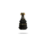 Heavy-duty Pedders front upper ball joint for 2004-2006 Pontiac GTO