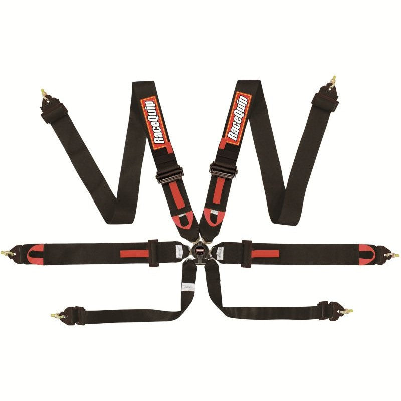 RaceQuip 851001 black 6-point racing harness with aluminum camlock buckle and pull-down lap belt adjusters.
