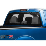 Raxiom Axial Series LED third brake light with red housing and white cargo light LEDs for 2009-2014 Ford F-150.