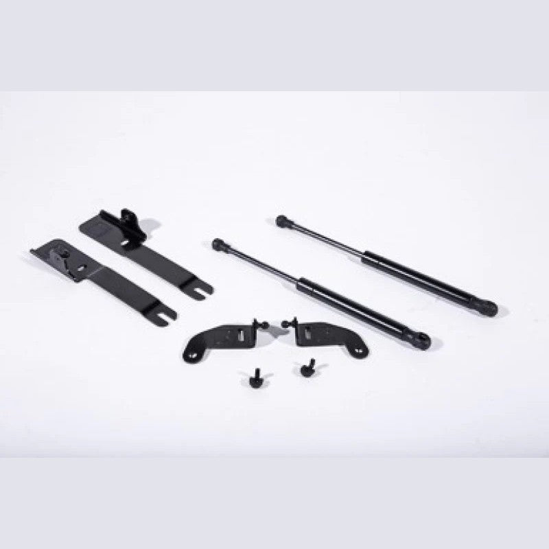 Roush black e-coated stainless steel hood strut brackets and gas-charged struts for 2015-2023 Ford Mustang.