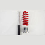 RS-R Sports-i adjustable coilover suspension kit for 2014-2015 Lexus IS250 and IS350 AWD GSE36 chassis.