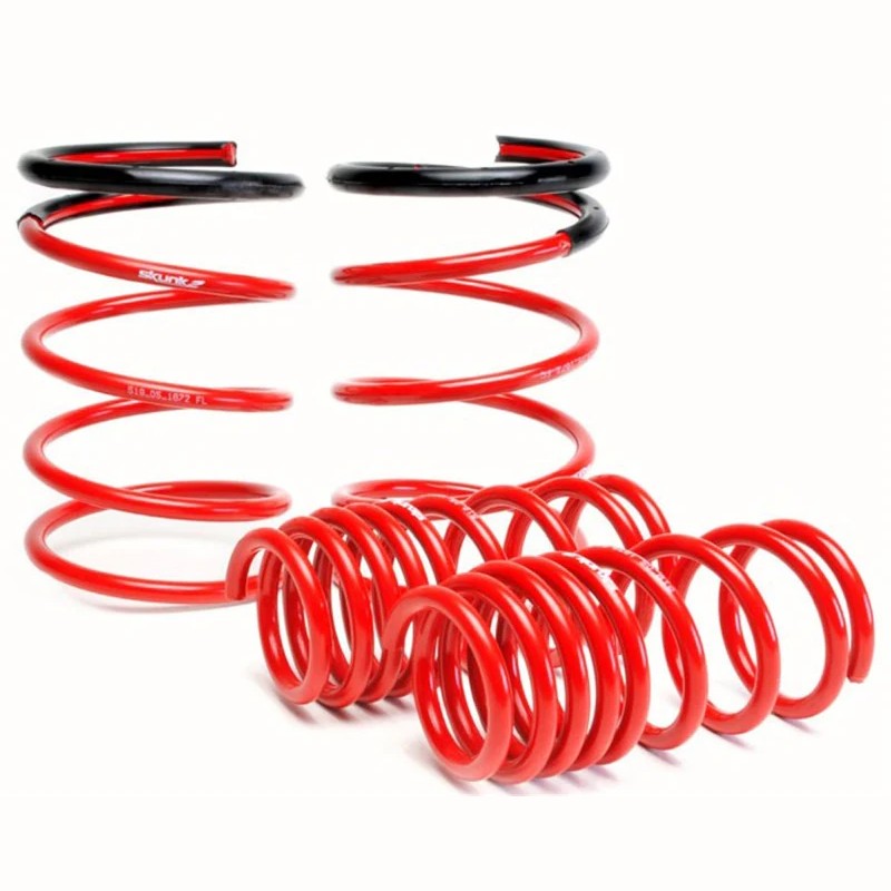 Set of four Skunk2 powder-coated lowering springs for 2002-2004 Acura RSX Base and Type-S models.