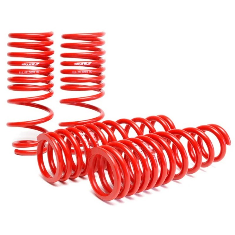 Set of four Skunk2 lowering springs for 1996-2000 Honda Civic featuring CNC-wound SAE 9254V steel construction.