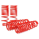 Set of four Skunk2 lowering springs for 1996-2000 Honda Civic featuring CNC-wound SAE 9254V steel construction.
