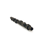 Skunk2 Tuner Series Stage 4 high-lift performance camshaft for Honda D-Series VTEC engines