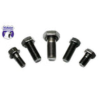 Yukon Gear 3/8 inch x 24 fine thread ring gear bolt with 0.866 inch length for Chrysler differentials.