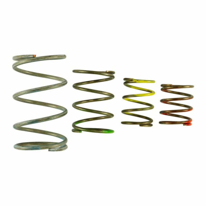 Turbosmart Gen V WG45 and WG50 external wastegate replacement spring kit TS-0550-3151