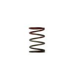 Turbosmart WG40 Comp-Gate40 11 PSI middle wastegate spring with brown and red paint identification markings