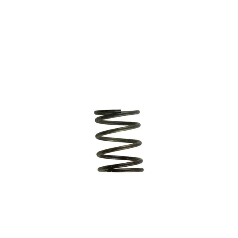 Turbosmart TS-0505-2002 Comp-Gate40 WG40 5 PSI inner wastegate spring with brown and grey color identification markers.