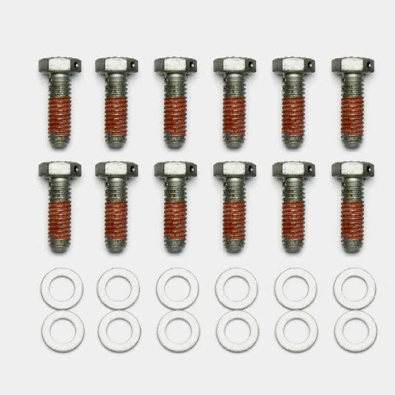 Twelve Wilwood 5/16-18 x 1.00 inch rotor mounting bolts from the 230-14086 kit